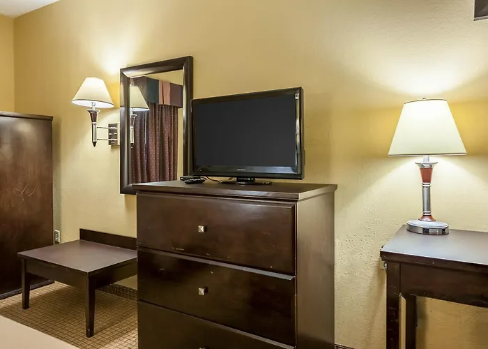 Quality & Hotel