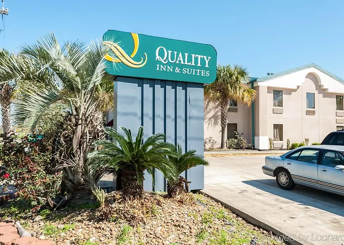 Quality & Hotel